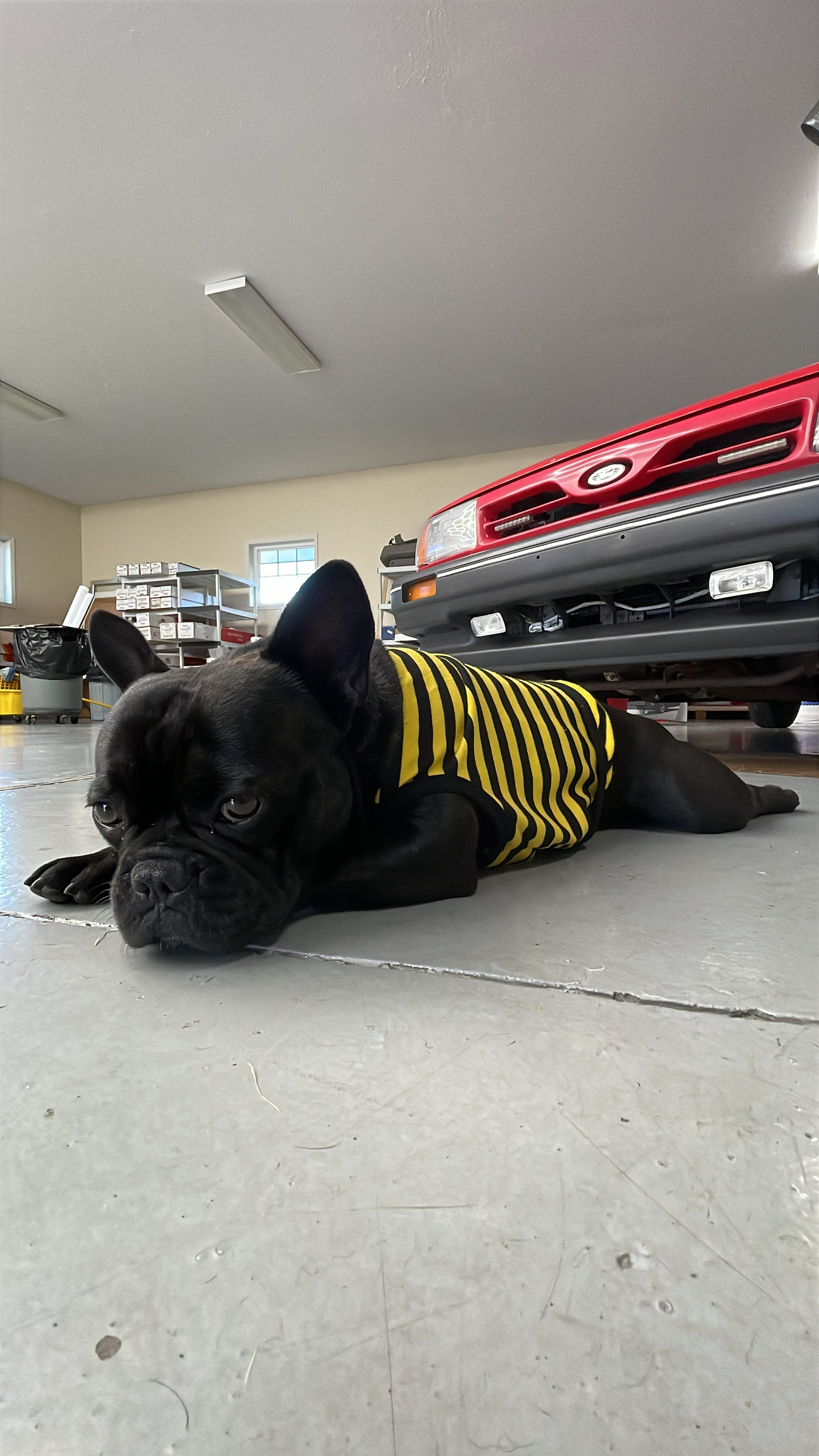 Hank on the shop floor