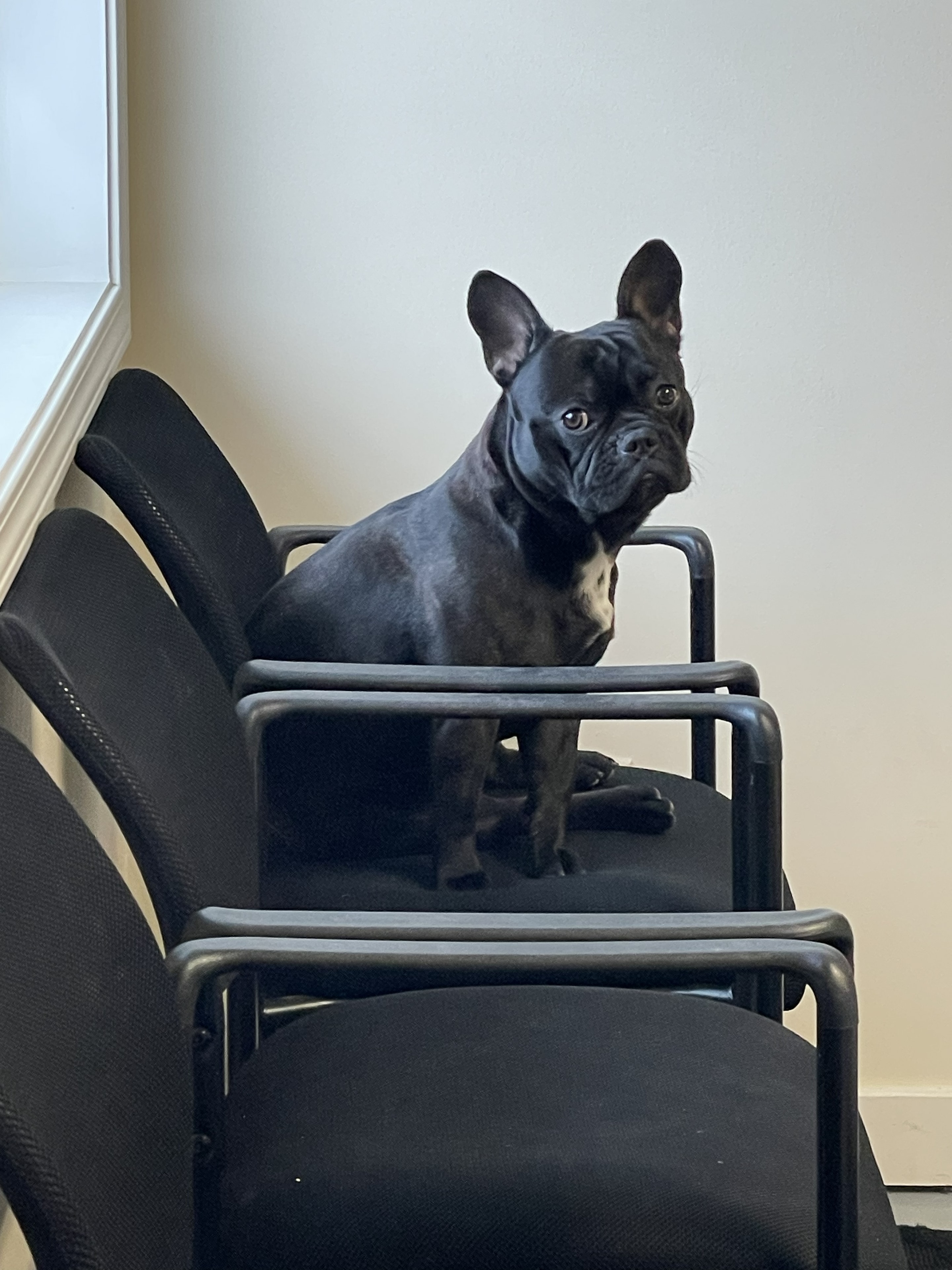 Hank in the waiting area