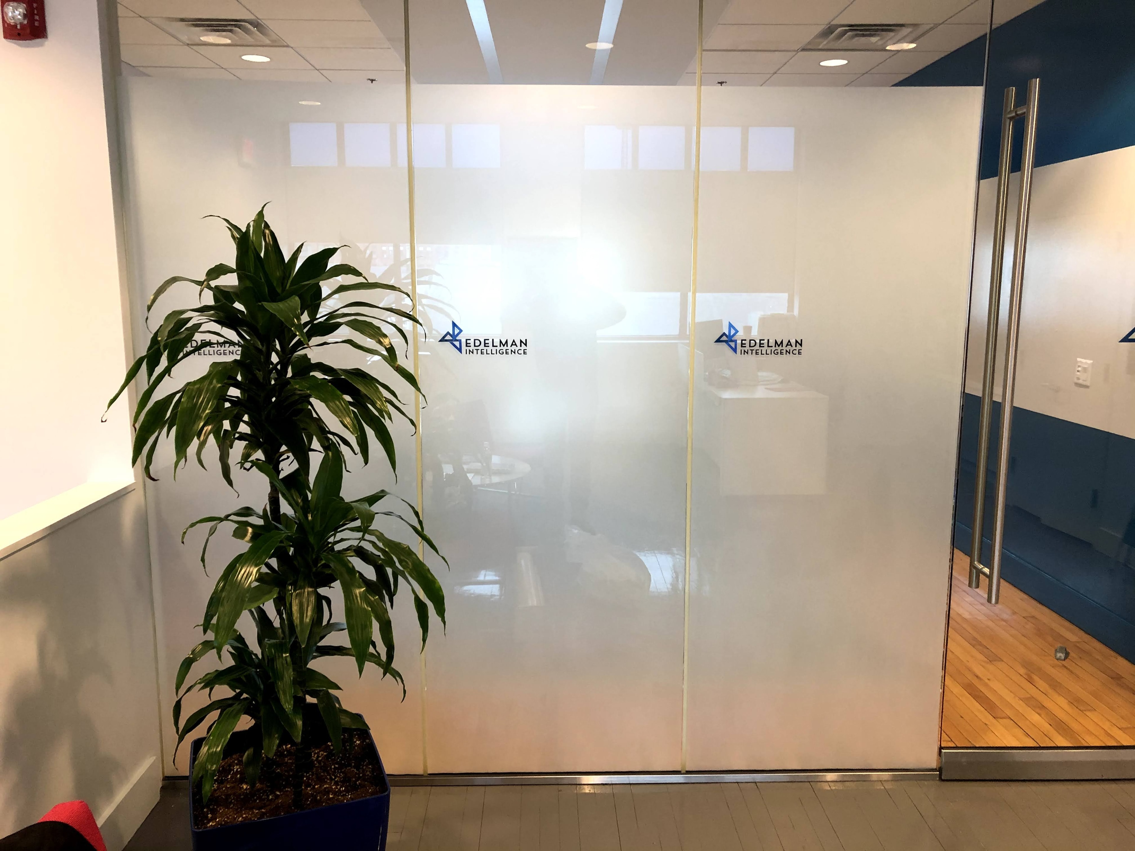 Office glass doors with plant